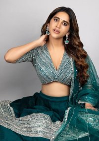 Nabha Natesh